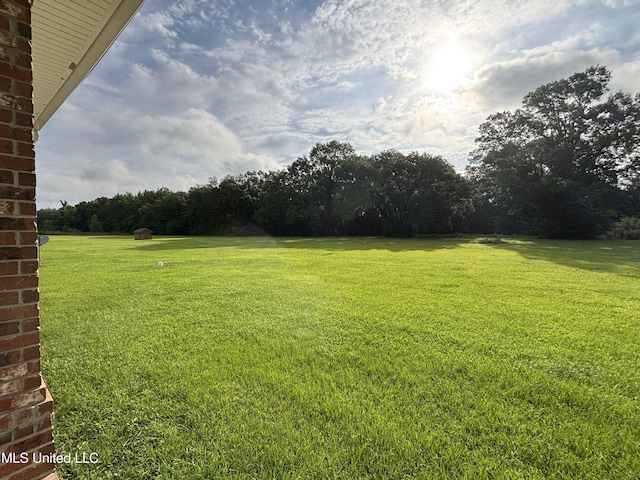 8 Jennie Ln, Picayune, MS 39466 - view of green lawn