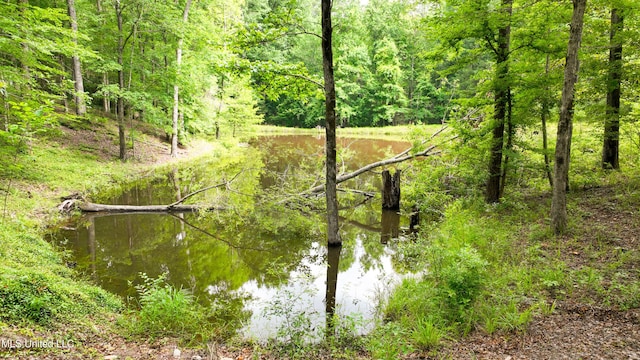 8855 Pine Springs Rd, Meridian, MS 39305 - water view with a forest