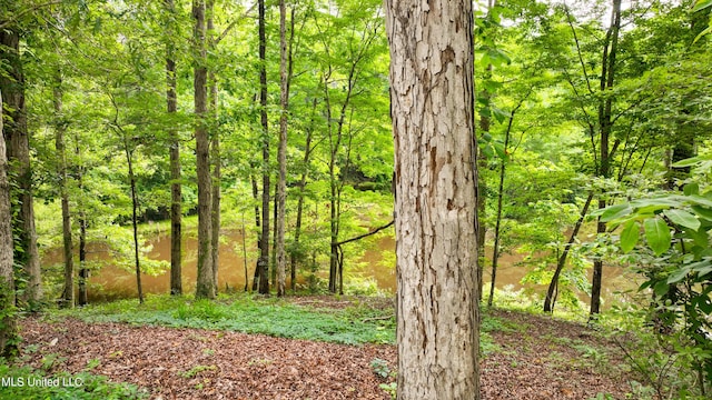 8855 Pine Springs Rd, Meridian, MS 39305 - view of woods