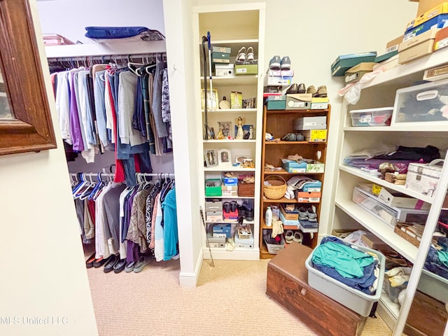 8855 Pine Springs Rd, Meridian, MS 39305 - walk in closet with carpet