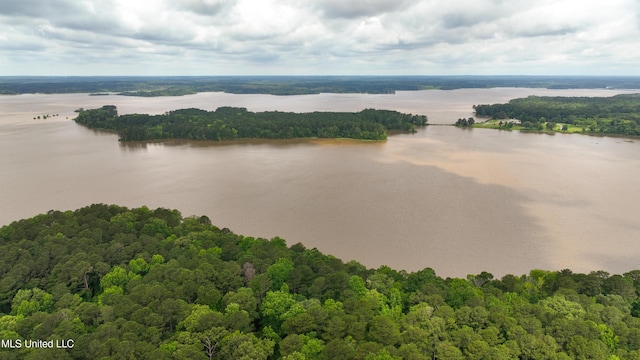 8855 Pine Springs Rd, Meridian, MS 39305 - bird's eye view of a heavily wooded area and a large body of water