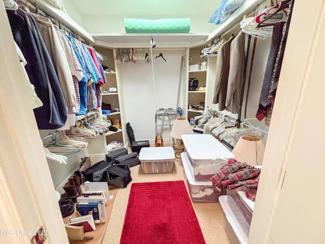8855 Pine Springs Rd, Meridian, MS 39305 - view of walk in closet