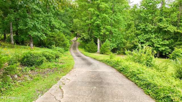 8855 Pine Springs Rd, Meridian, MS 39305 - view of street