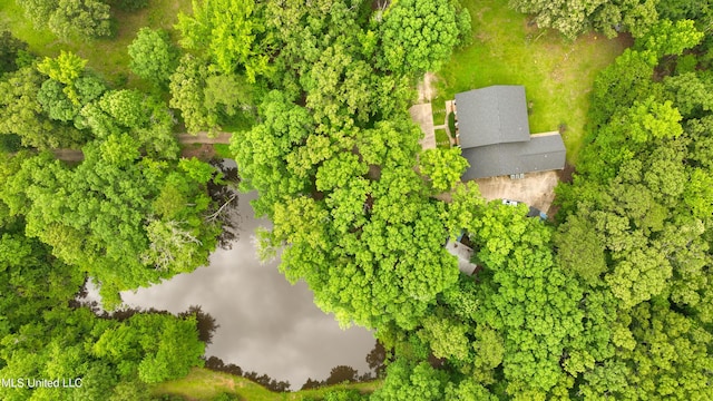 8855 Pine Springs Rd, Meridian, MS 39305 - aerial view of a large body of water
