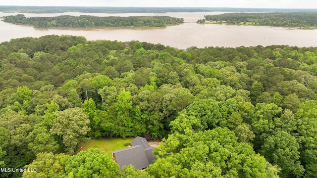 8855 Pine Springs Rd, Meridian, MS 39305 - drone / aerial view of a nearby body of water and a forest