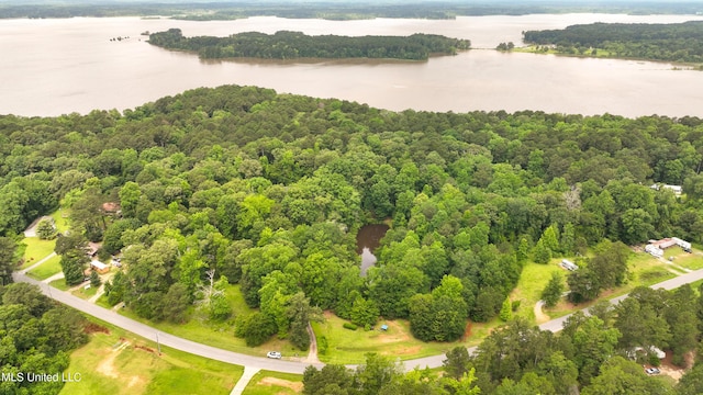8855 Pine Springs Rd, Meridian, MS 39305 - drone / aerial view of a large body of water and a heavily wooded area