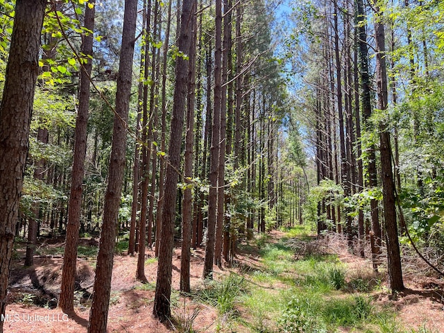 Raymond Rd, Jackson, MS 39212