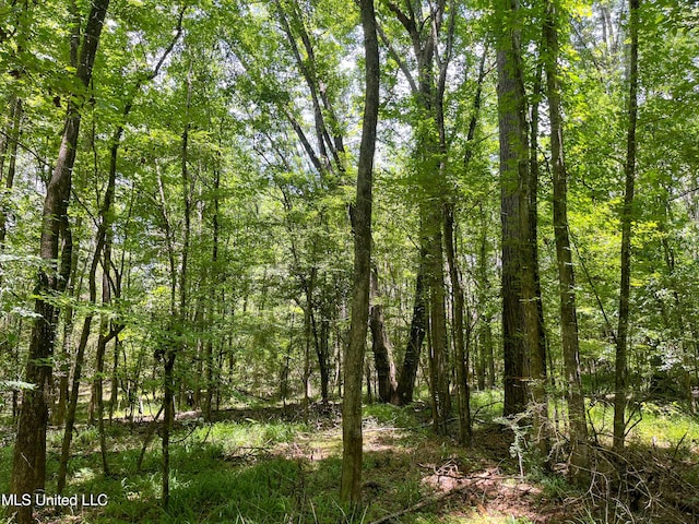 Raymond Rd, Jackson, MS 39212