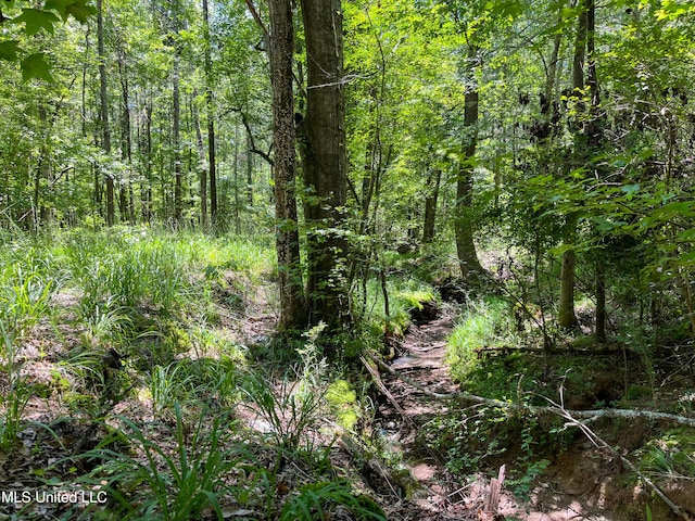 Raymond Rd, Jackson, MS 39212