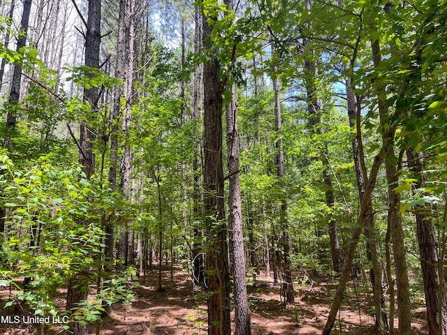 Raymond Rd, Jackson, MS 39212