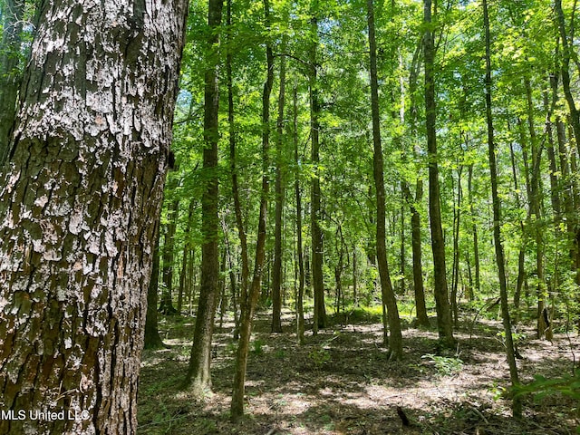 Raymond Rd, Jackson, MS 39212