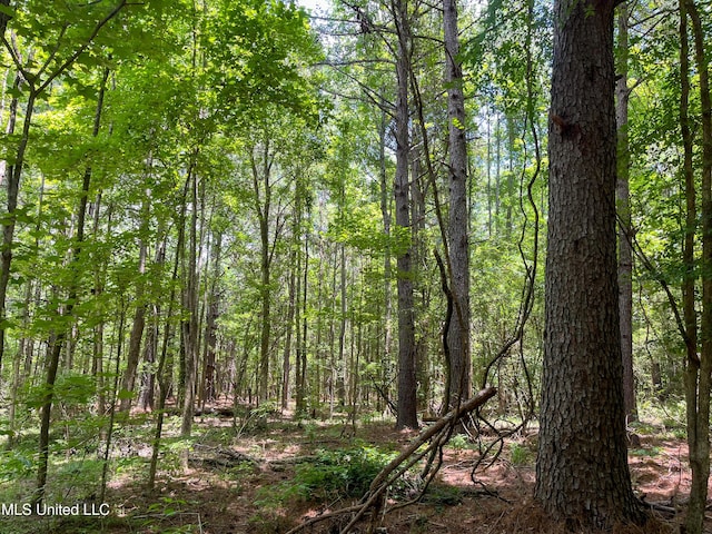 Raymond Rd, Jackson, MS 39212
