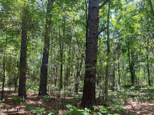 Raymond Rd, Jackson, MS 39212