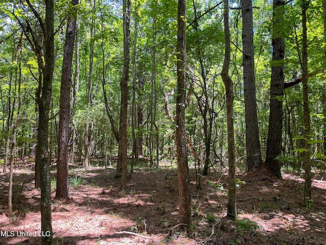 Raymond Rd, Jackson, MS 39212