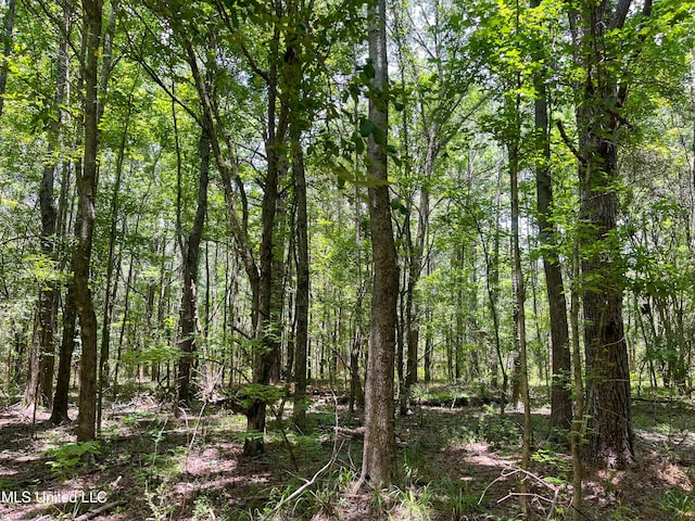 Raymond Rd, Jackson, MS 39212