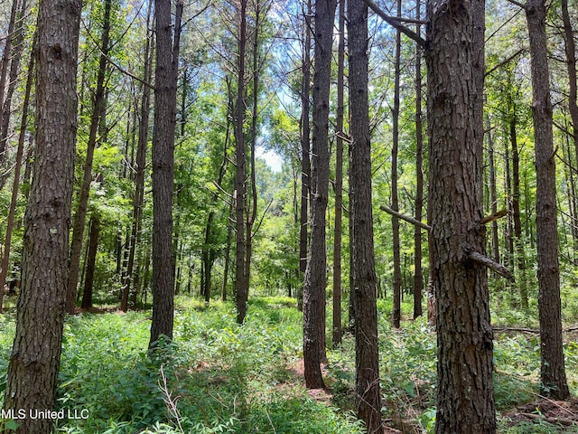 Raymond Rd, Jackson, MS 39212