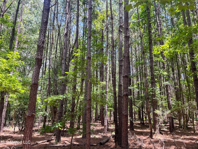 Raymond Rd, Jackson, MS 39212