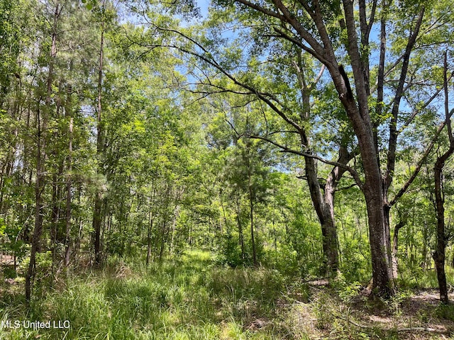 Raymond Rd, Jackson, MS 39212