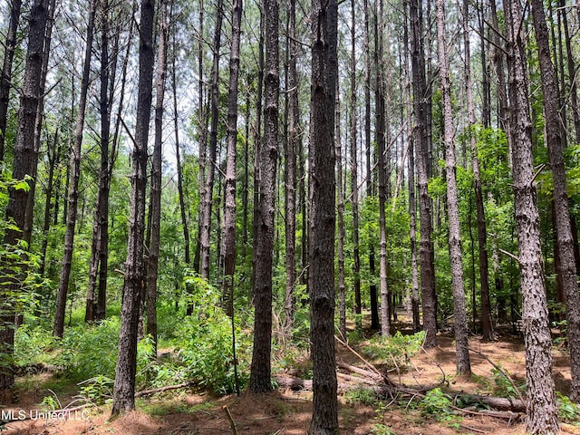 Raymond Rd, Jackson, MS 39212