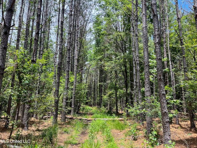 Raymond Rd, Jackson, MS 39212