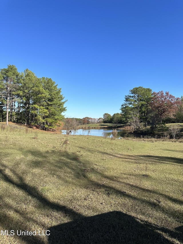 Nub Mcnair, Magee MS, 39111 land for sale