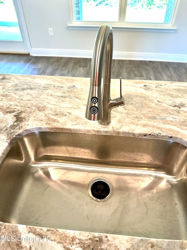 room details with wood-type flooring and sink