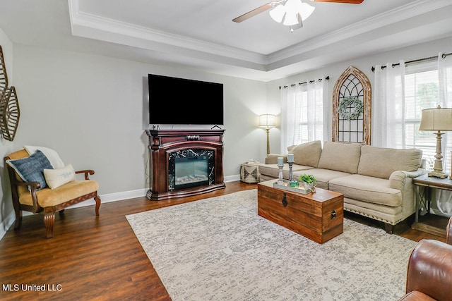 living room featuring a raised ceiling, a high end fireplace, ceiling fan, dark wood-type flooring, and crown molding