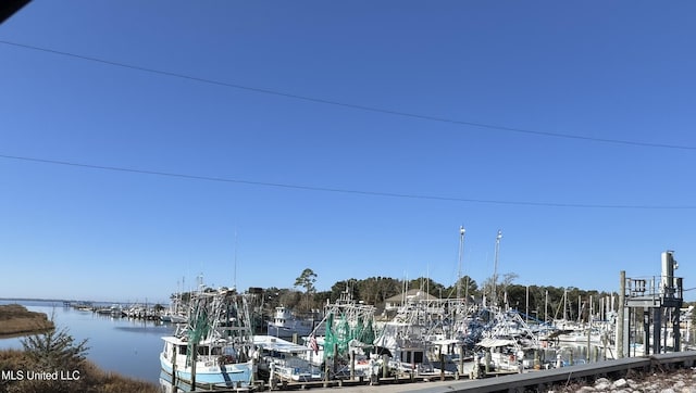 dock area featuring a water view