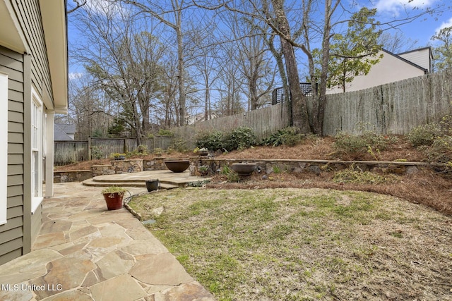 view of yard featuring a patio and a fenced backyard