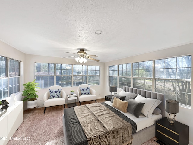 sunroom / solarium featuring plenty of natural light and a ceiling fan