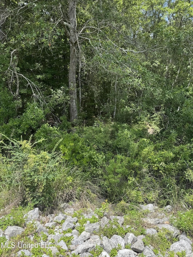 Shenandoah Rd, Poplarville, MS 39470
