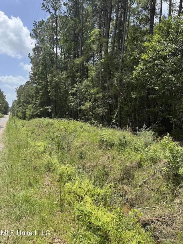 Shenandoah Rd, Poplarville, MS 39470