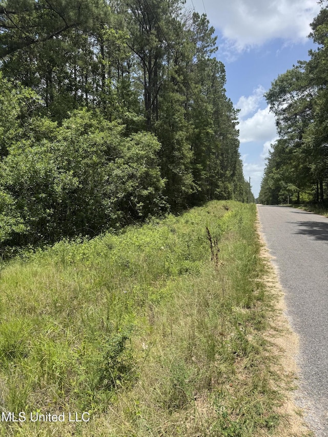Shenandoah Rd, Poplarville, MS 39470