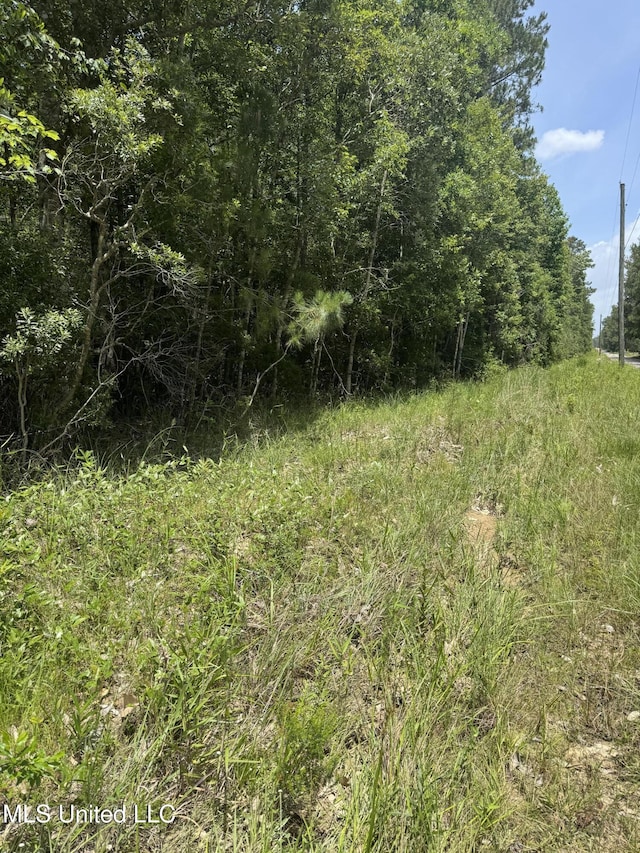 Shenandoah Rd, Poplarville, MS 39470