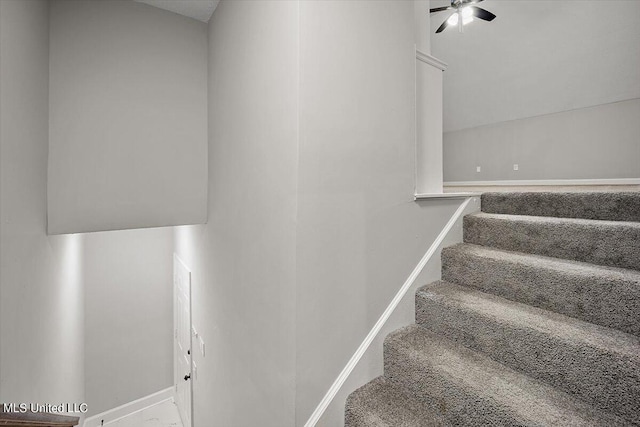 stairway featuring carpet flooring and ceiling fan