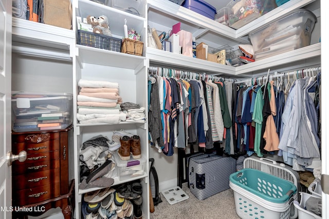 spacious closet featuring carpet flooring