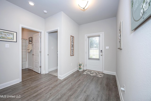 entrance foyer featuring dark wood-type flooring