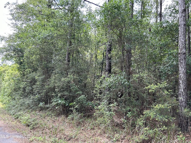 Listing photo 3 for 0 Stanley Fryfogle Rd, Lucedale MS 39452