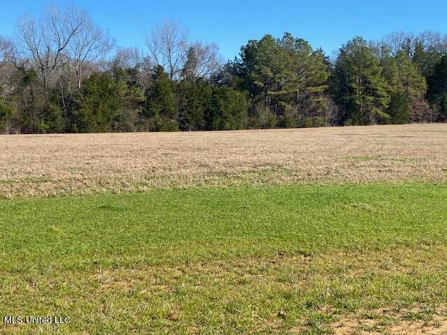 Listing photo 3 for Cripple Creek Rd, Canton MS 39046