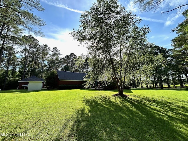 6520 Pleasant Grove Rd, Carthage, MS 39051 - view of grassy yard
