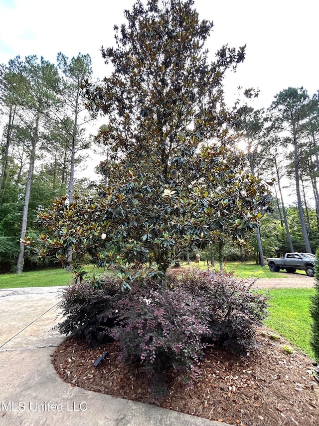 6520 Pleasant Grove Rd, Carthage, MS 39051 - view of community