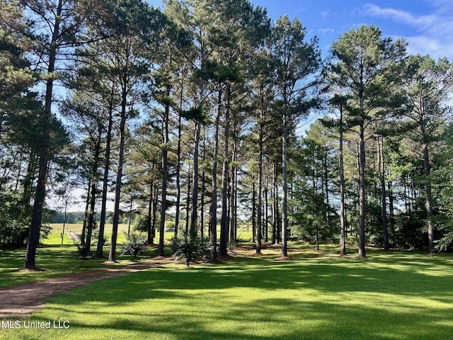6520 Pleasant Grove Rd, Carthage, MS 39051 - view of green lawn