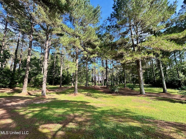 6520 Pleasant Grove Rd, Carthage, MS 39051 - view of grassy yard