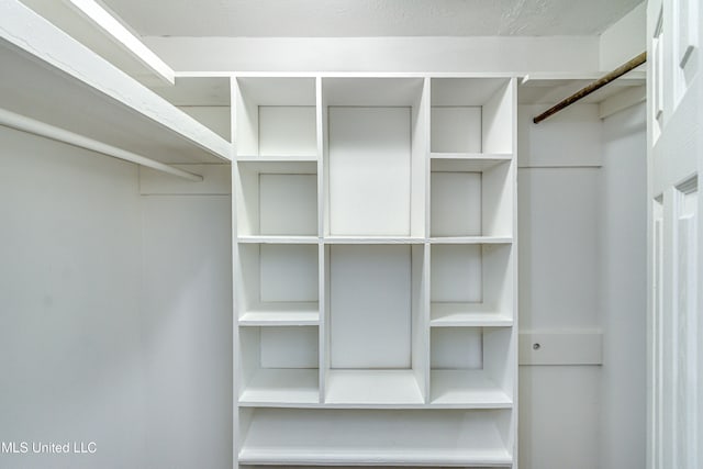 view of spacious closet