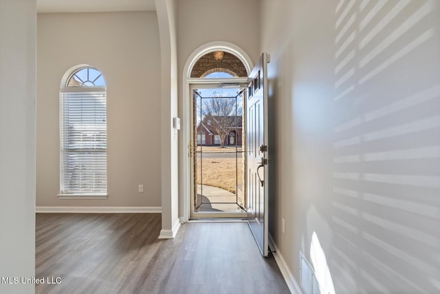 foyer with hardwood / wood-style flooring, a high ceiling, and a healthy amount of sunlight