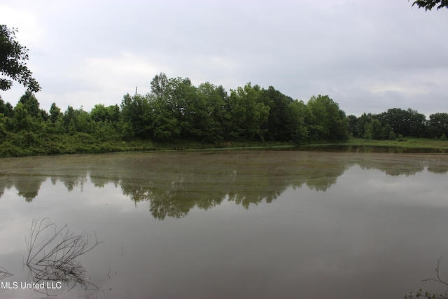 001 Levee Rd, Yazoo City, MS 39194