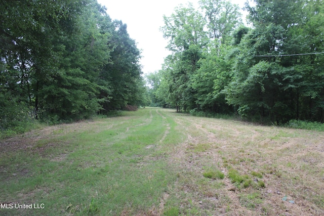 001 Levee Rd, Yazoo City, MS 39194