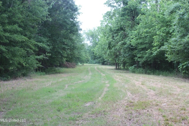 001 Levee Rd, Yazoo City, MS 39194