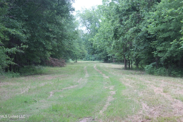 001 Levee Rd, Yazoo City, MS 39194
