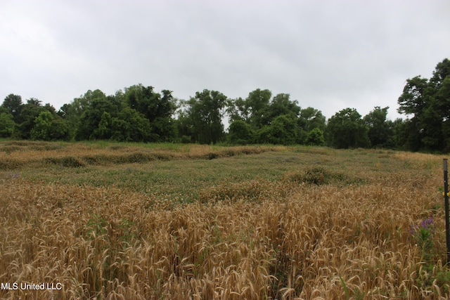 001 Levee Rd, Yazoo City, MS 39194